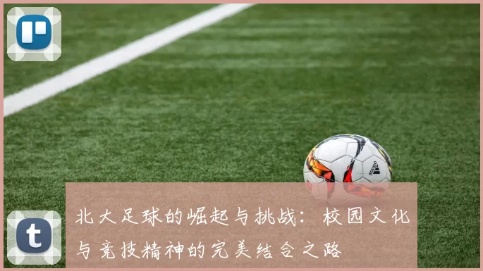 北大足球的崛起与挑战：校园文化与竞技精神的完美结合之路