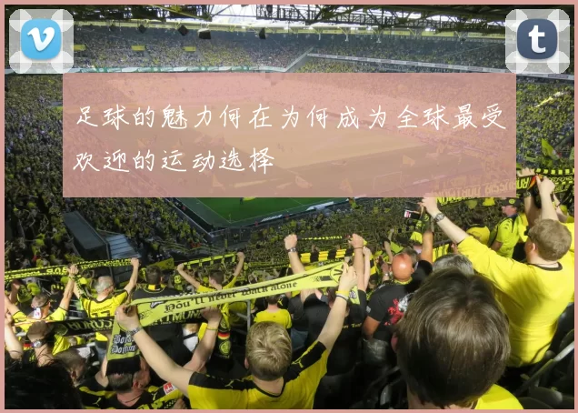 足球的魅力何在为何成为全球最受欢迎的运动选择