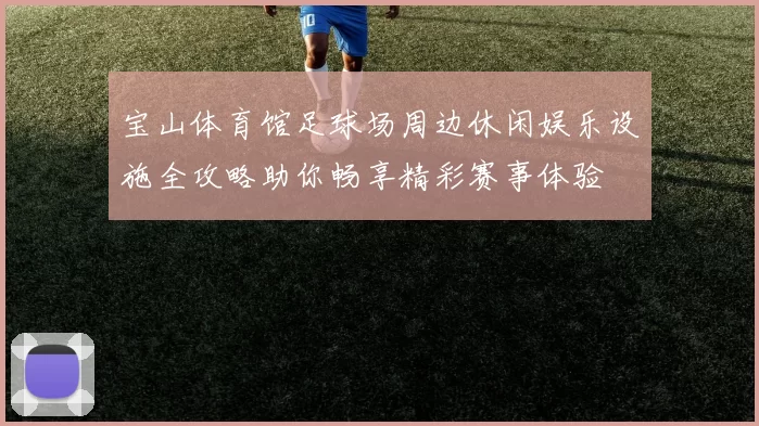 宝山体育馆足球场周边休闲娱乐设施全攻略助你畅享精彩赛事体验
